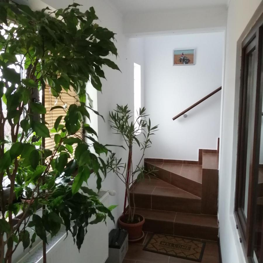 Villa 38 Silviu Apartment Βουκουρέστι Εξωτερικό φωτογραφία